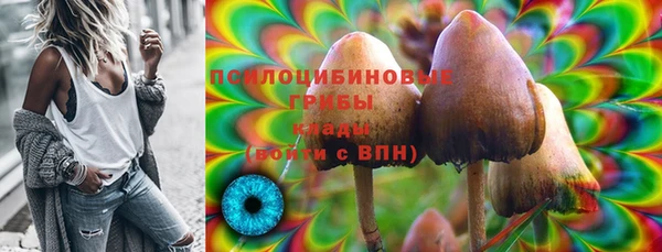 СК Беломорск
