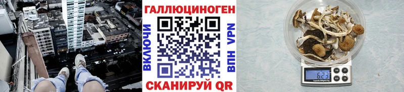 Псилоцибиновые грибы MAGIC MUSHROOMS  Купить где  Мезень 